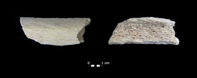 The Star 1 bone fragment