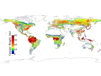 Global map of Earth's forests (Image NASA/JPL-Caltech)