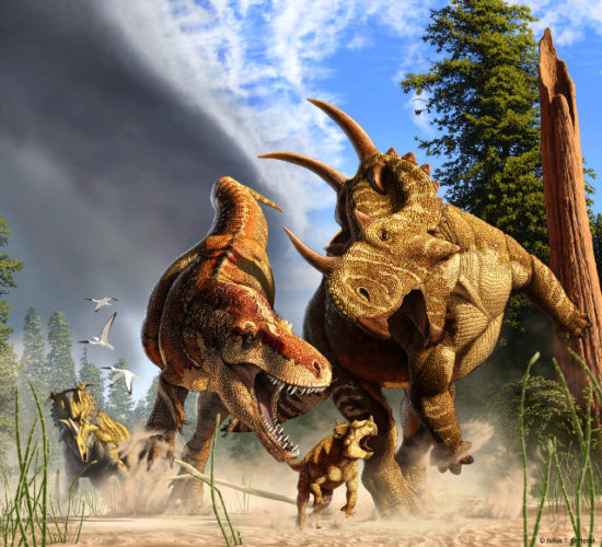A Daspletosaurus chasing Spinops (Image courtesy Julius Csotonyi)