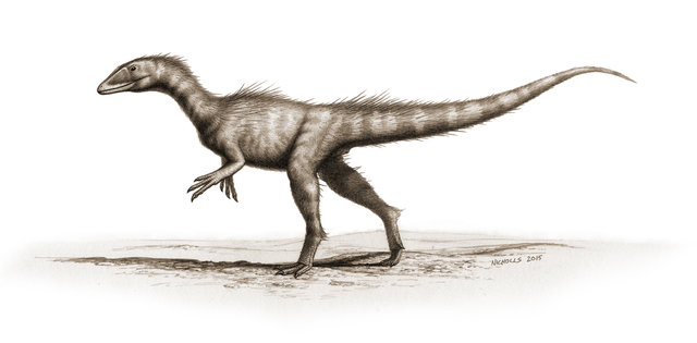 The possibile Dracoraptor hanigani look (Image David M. Martill, Steven U. Vidovic, Cindy Howells, John R. Nudds)
