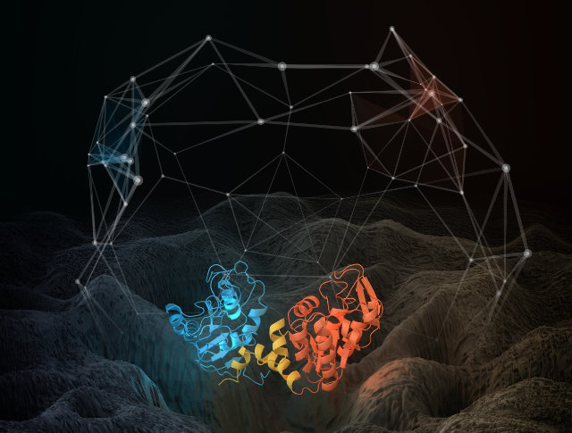 Simulation of the structure and motion of a phosphoglycerate kinase protein (Image courtesy Thomas Splettstoesser; http://www.scistyle.com all rights reserved)