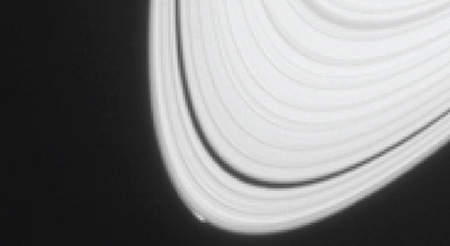Part of Saturn's ring showing the disturbance at their outer edge caused by Peggy (Photo NASA/JPL-Caltech/Space Science Institute)