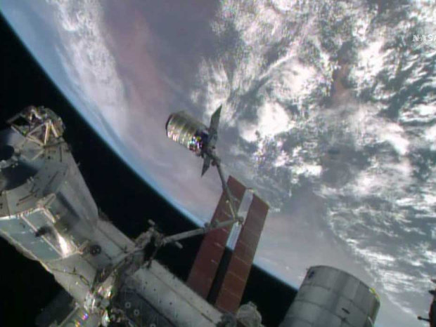 The Orbital Sciences Cygnus spacecraft captured by the Canadarm2 robotic arm from the International Space Station (Image NASA TV)