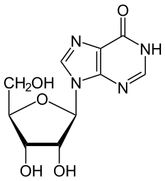 Perhaps inosine was one of the components of the first life forms on Earth
