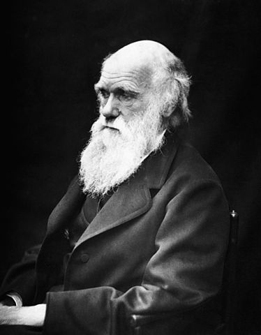 Charles Darwin in 1869