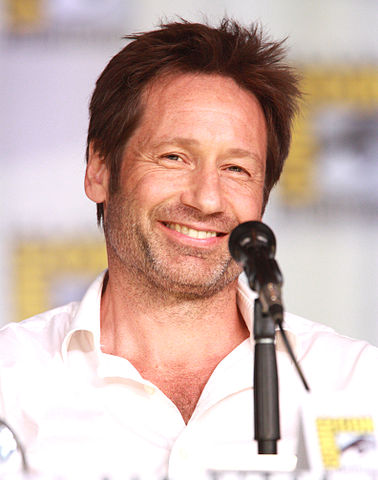 David Duchovny in 2013