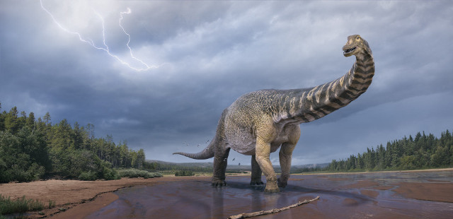 Artist's reconstruction of Australotitan cooperensis (Image courtesy Vladislav Konstantinov / Scott Hocknull)