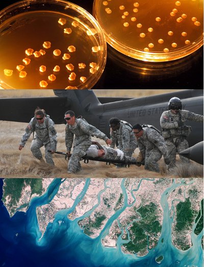 Illustration of some application of BTO research (Image courtesy DARPA. All rights reserved)