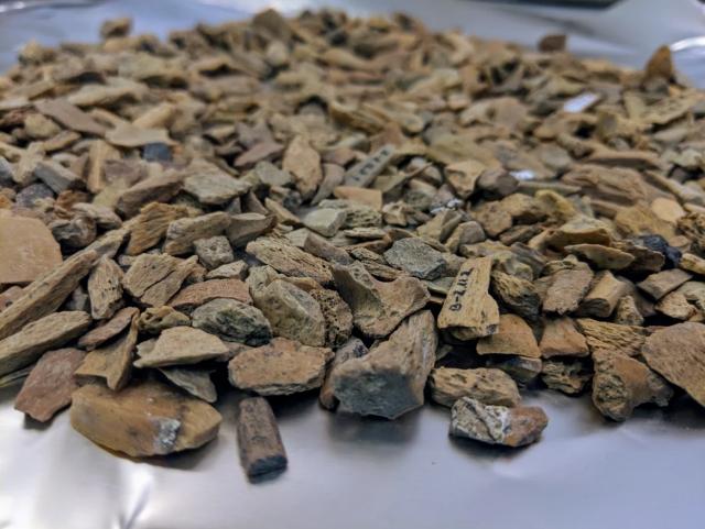 Bone fragments from Denisova Cave (Photo courtesy Samantha Brown)