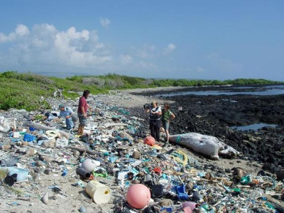 Waste reaching Kamilo Beach in the Hawaii