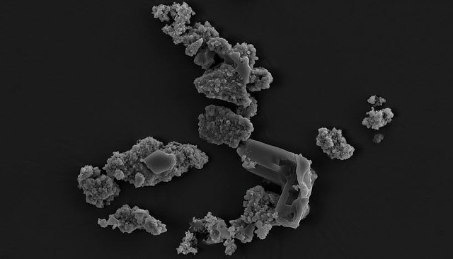 Some meteorite NWA 1172's dust fragments colonized by Metallosphaera sedula (Image courtesy Tetyana Milojevic)