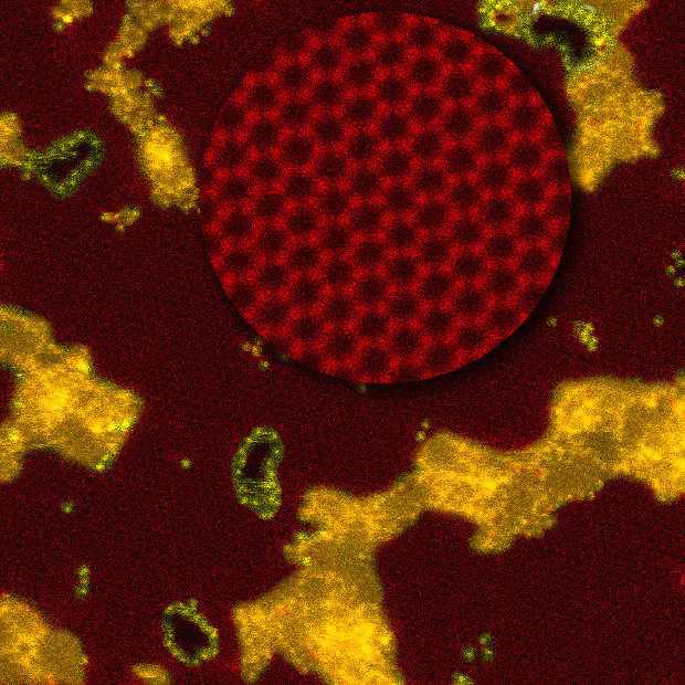 A graphene membrane, in red, with silicon atoms in yellow (Image courtesy Oak Ridge National Laboratory, US Dept. of Energy. All rights reserved)