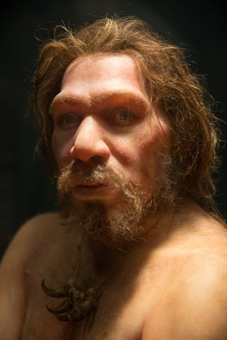 Artist's portrait of a Neanderthal (Image courtesy Petr Kratochvil (CC0))