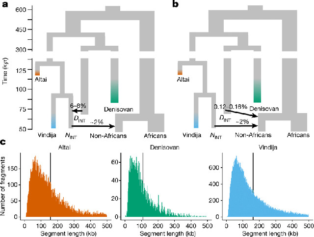 Phylogenetic relationships of the archaic fragments sequenced in Icelanders