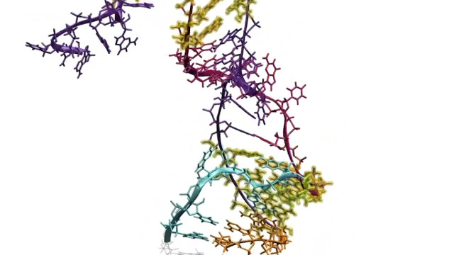 A moment of the RNA folding process (Image courtesy Lucks et al. All rights reserved)