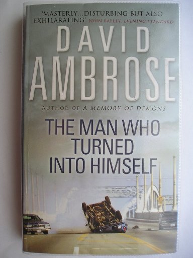 The Man Who Turned Into Himself by David Ambrose
