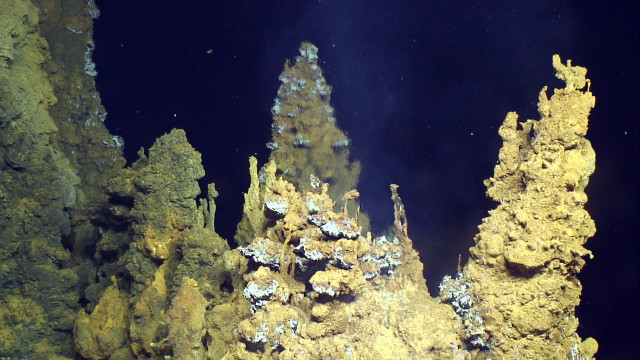 Hydrothermal vent in the Urashima site (Photo courtesy Submarine Ring of Fire 2014 - Ironman, NSF/NOAA, Jason, Copyright WHOI)