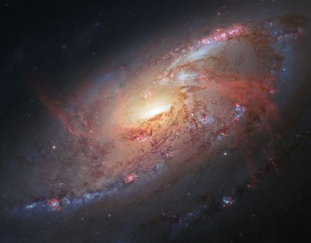 Image combining Hubble observations of M 106 with additional information captured by amateur astronomers Robert Gendler and Jay GaBany (Image NASA, ESA, the Hubble Heritage Team (STScI/AURA), and R. Gendler (for the Hubble Heritage Team). Acknowledgment: J. GaBany)