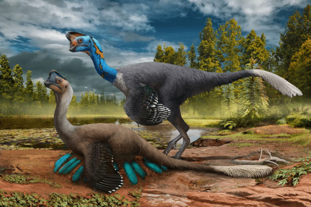 Artist's illustration of oviraptorid brooding its nest of eggs (Image courtesy Zhao Chuang)