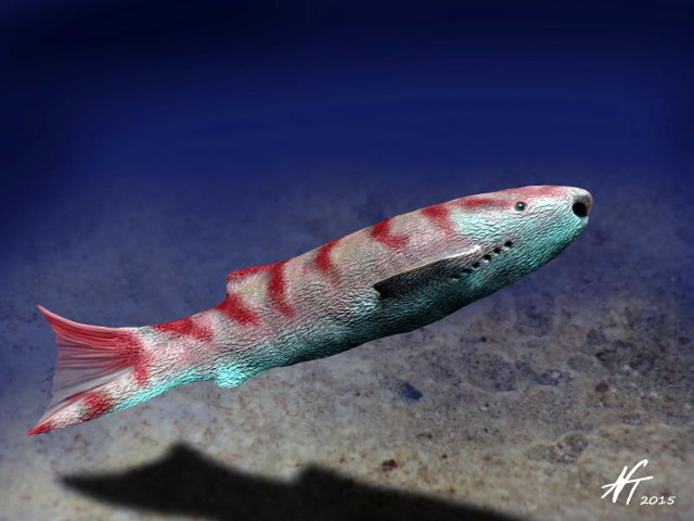 Artist's concept of Phlebolepis elegans