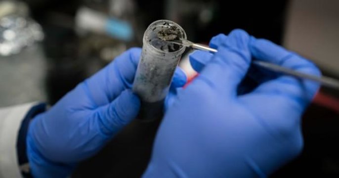 Sea sediments examined to look for bacteria (Photo courtesy Michael Graw/ University of Delaware)