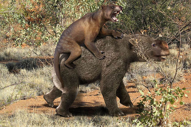 Reconstruction of a Thylacoleo carnifex attacking a Diprotodon (Image roman uchytel)