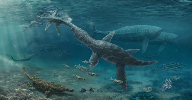 Artist's impression of Jurassic seas (Image courtesy Nikolay Zverkov. All rights reserved)