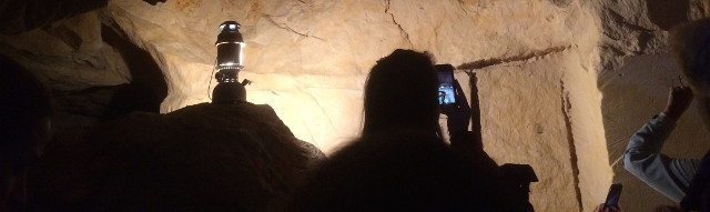 A quick acidification of the oceans after the impact that caused the extinction of dinosaurs