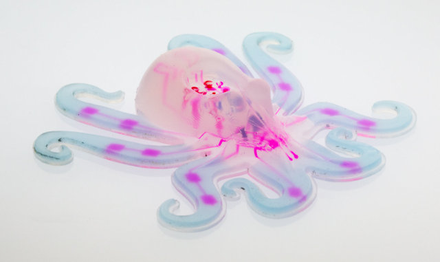 Octobot (Image courtesy Lori Sanders/Harvard University)